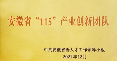 蕪湖市市委組織部為華夏光電安徽省“115”產(chǎn)業(yè)創(chuàng)新團隊授牌